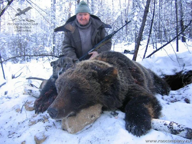 Охота на медведя Берлога Сибирь. Охота на медведя в Якутии на берлоге. Охота на медведя в берлоге видео. Берлога охотника