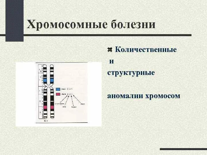 Структурные хромосомные аномалии. Количественные аномалии хромосом это. Количественные и структурные аномалии аутосом. Хромосомные болезни со структурными аномалиями хромосом.