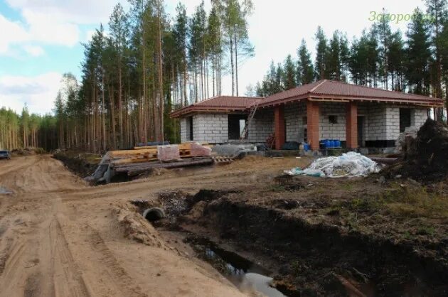 Северная жемчужина. Кудрин снт северная жемчужина. Снт северная жемчужина спб. Снт северная жемчужина. Участок северная жемчужина.