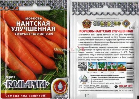 Морковь нантская характеристика и описание
