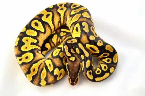 1 5 python