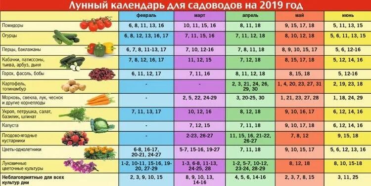 Какого числа сажать огурцы на рассаду. Благоприятные дни для посадки в мае огурцов в грунт. Календарь посадки огурцов. Лунный календарь для посадки огурцов. Календарь высадки рассады.