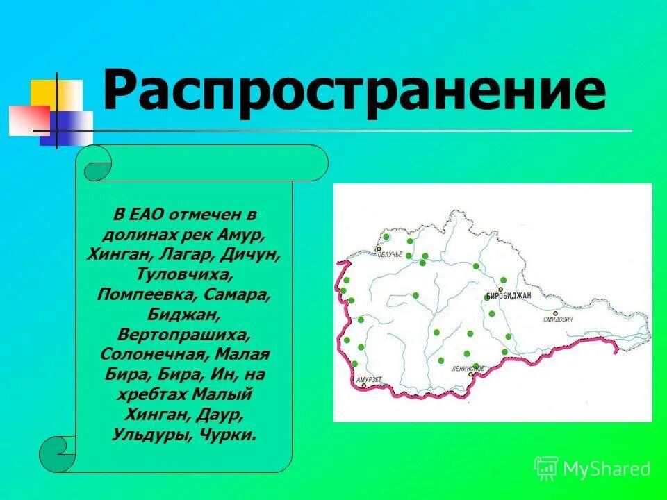 Европейская автономная область. Помпеевка ЕАО. Река Амур ЕАО. Карта рек ЕАО. Красная книга ЕАО.