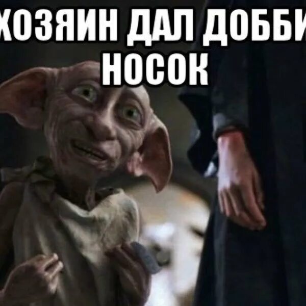 Добби подарили носок. Добби свободен. теперь добби свободен. добби сдал сессию добби свободен. хозяин дал добби носок добби свободен.