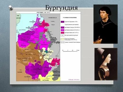 Тно бургундия