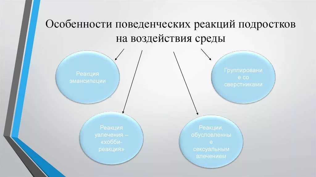 Особенности психических реакций. Поведенческие реакции подростка. Особенности поведенческих реакций. Поведенческие реакции какие бывают. Поведенческие реакции это в психологии.