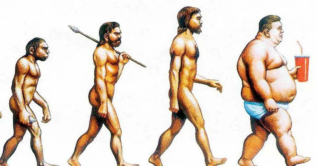 Эволюционирует ли человек. Хомо сапиенс рост и вес. Эволюция человека. Развитие человека. Человек будущего Эволюция.