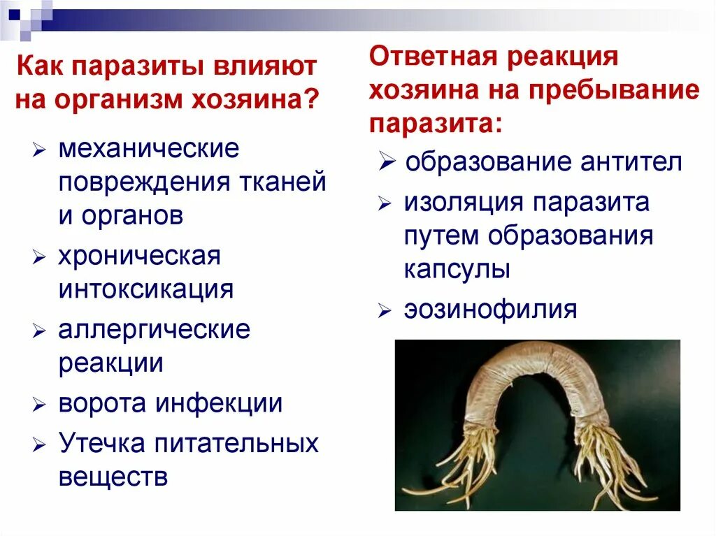 Влияние паразитов на организм. Паразитические организмы. Как паразиты влияют на человека. Паразитические организмы группа