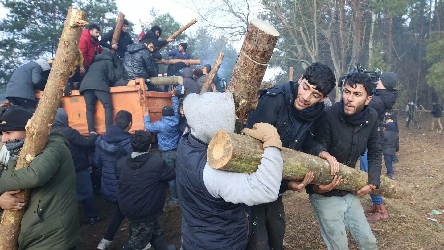Почему в беларуси нет мигрантов. Мигранты на границе беларуси. мигранты польша. лагерь беженцев в польше.