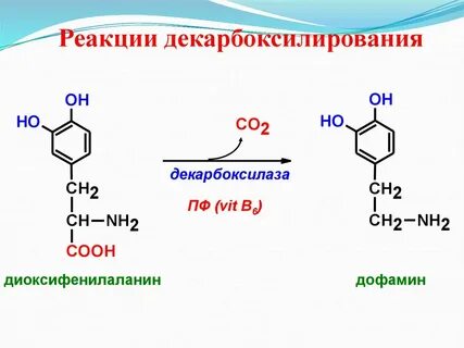 Реакция 30