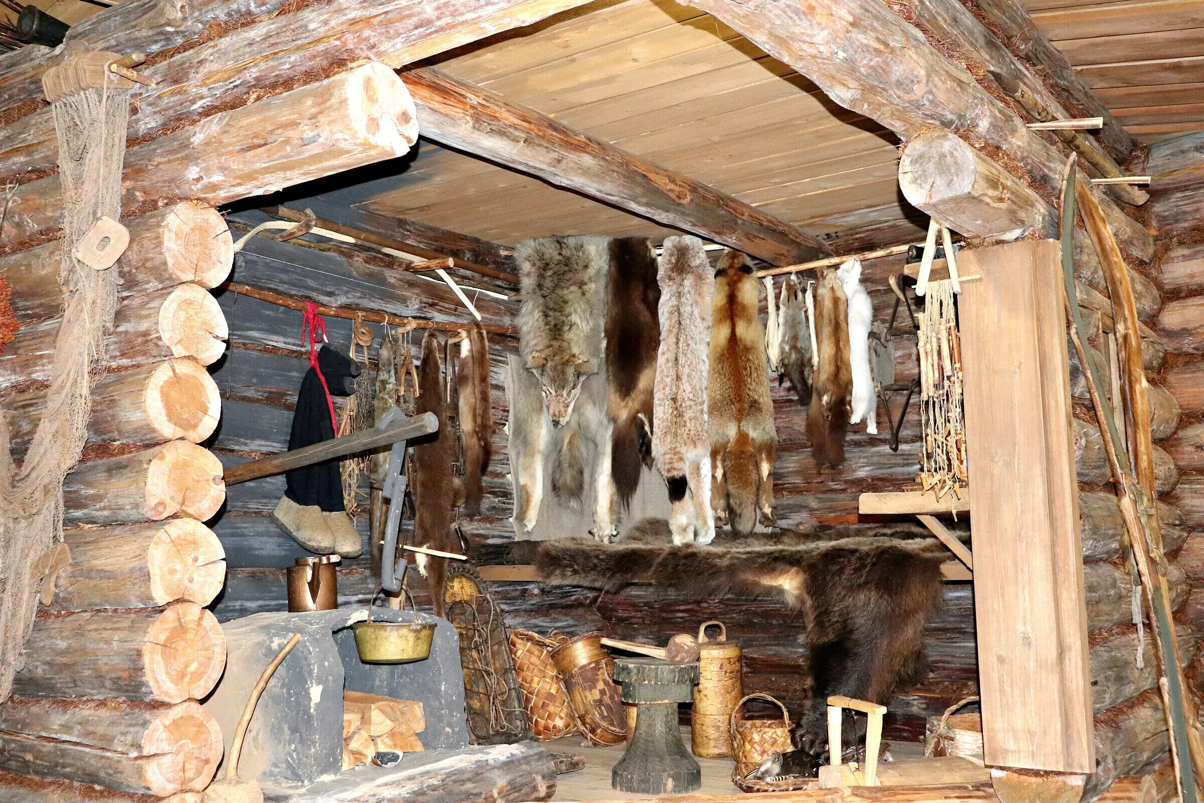 Добыча пушнины. Промысел пушнины байкал. Добыча пушнины. Восточная сибирь пушнина промысел. Промысел пушного зверя в западной сибири.