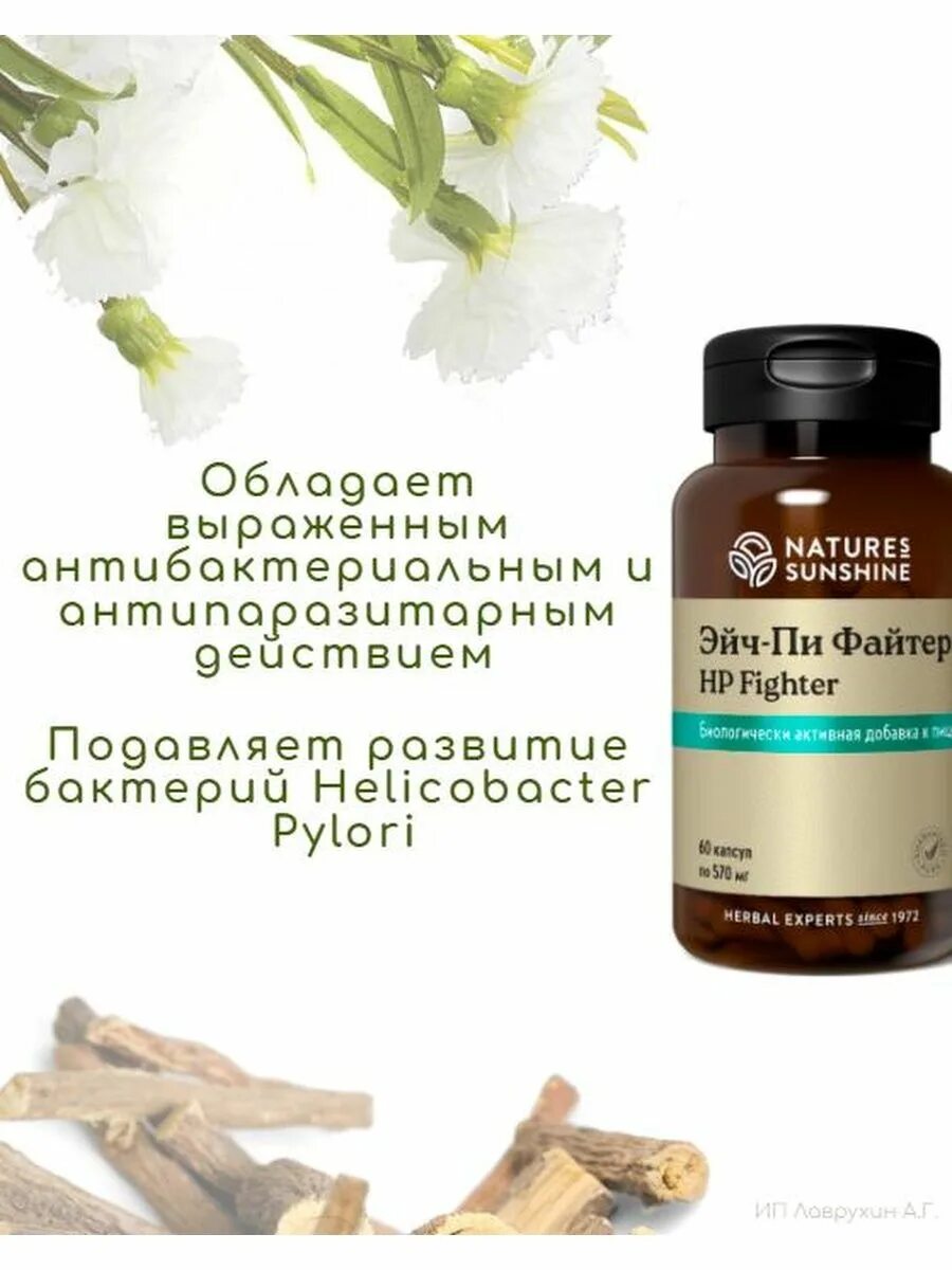 Эйч пи файтер. Картинки нсп эйч пи файтер. Бад nsp эйч пи файтер. Кальций магний хелат nsp. Хеликобактер нсп.