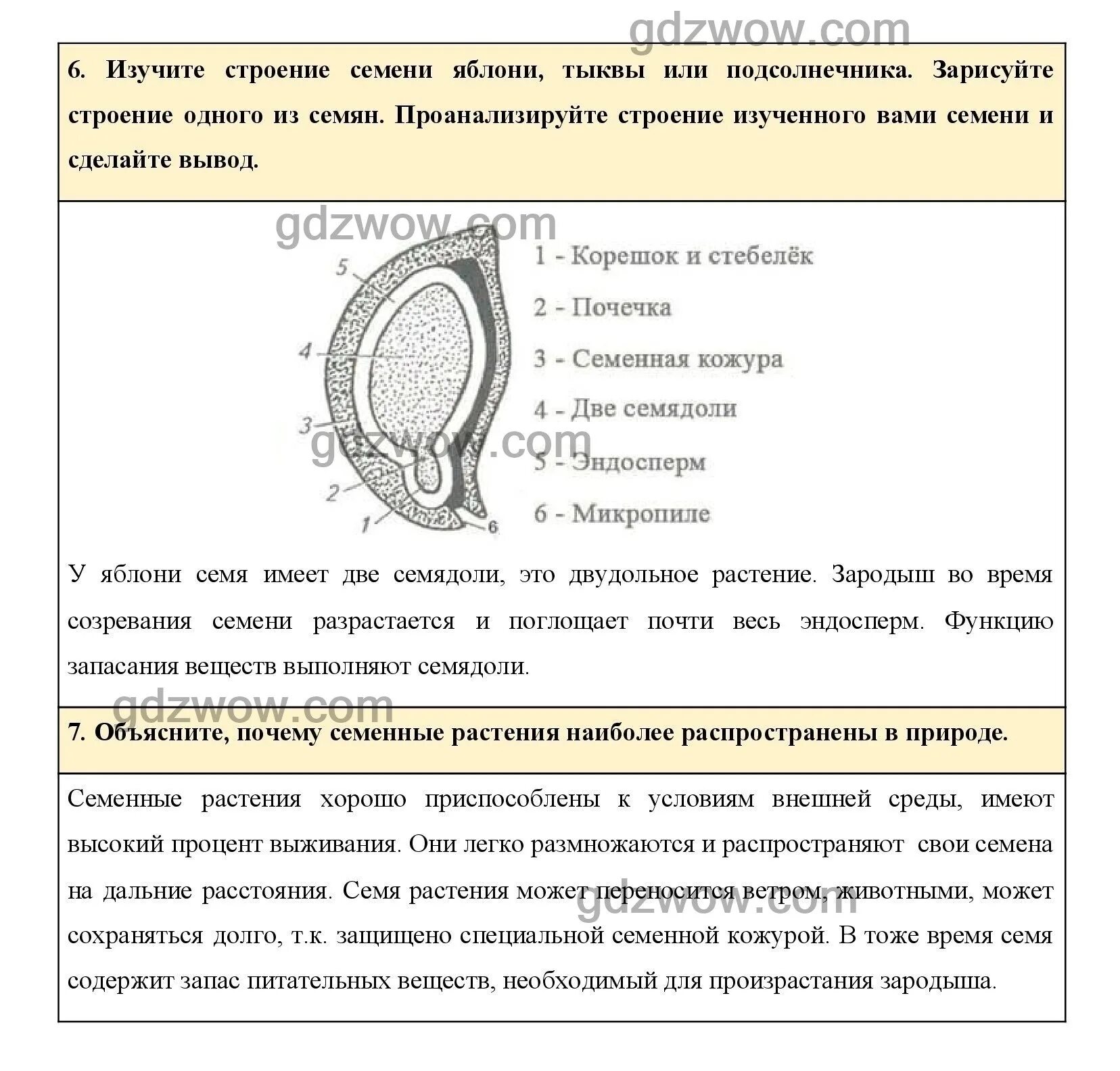 Пасечник 6 класс 2023