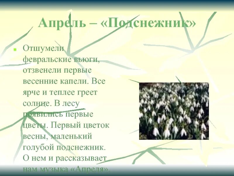 Отшумела злая вьюга. Отшумели вьюги слова. Подснежник песня. Отшумели вьюги вьюги вьюги. Песня Отшумели вьюги.