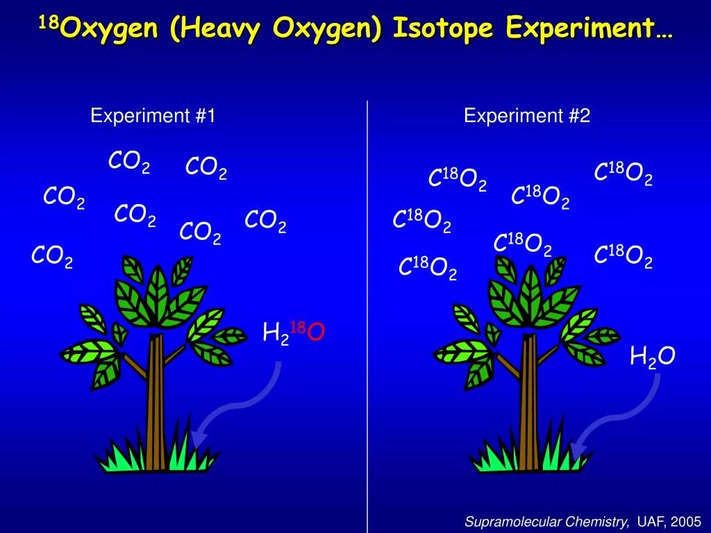 Co2 h2o фотосинтез. Фотосинтез игра. Isotopes o. Отличия Oxygen и Color. Ферма ветведеревьев Oxygen.