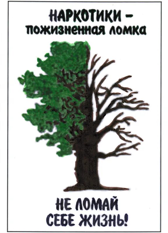 Не ломать ветки. Ломать ветки деревьев в лесу. Не ломай то что было. Знаки защиты природы. Афоризмы про стереотипы.