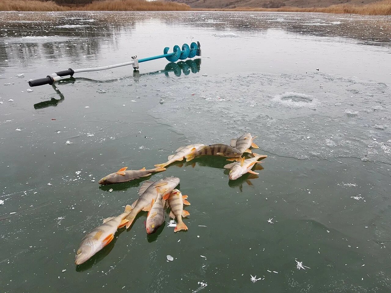 Борисовские пруды рыбалка. Рыбалка на Волге. Зимний водоем рыбалка. Зимняя рыбалка на Волге.