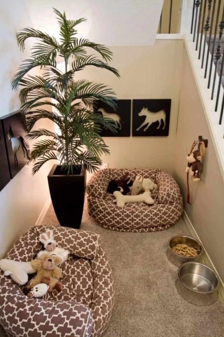 Комната для питомцев. Домик для кошки в интерьере. Комната для животных в доме. Место для кошки в квартире. The petting room