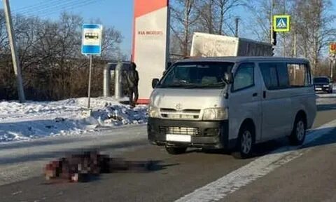 Благовещенск сбитые люди