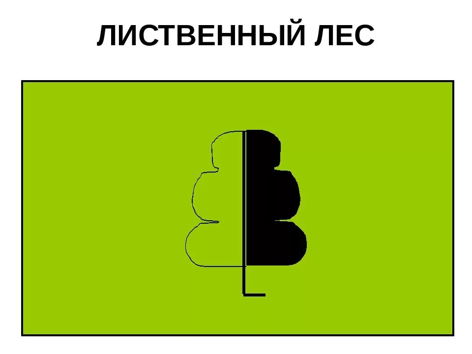 Условное дерево. Топознаки Лиственный лес. Условный знак лиственного леса. Условные обозначения Лиственный лес. Условное обозначение лиственного леса.