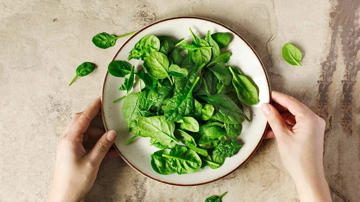 Зеленые жуки на розах. It is eating leaves. Соревнование по поеданию крапивы в англии. Жираф фото. It is eating leaves.