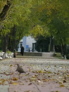 Намаз заветное ростовская область