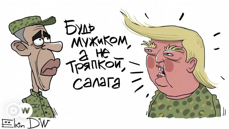Салага это кто. Салага что это. Зелёный салага. Салага что это. Салага что это.