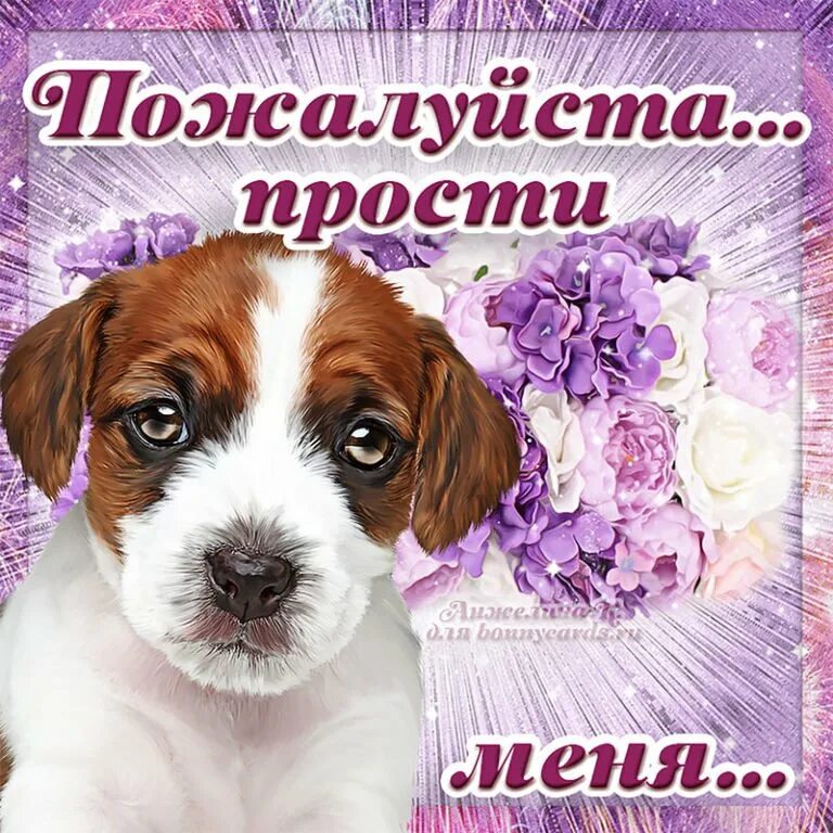 Прости меня читать. Прости.... открытки с извинениями. прости меня. прости картинки.