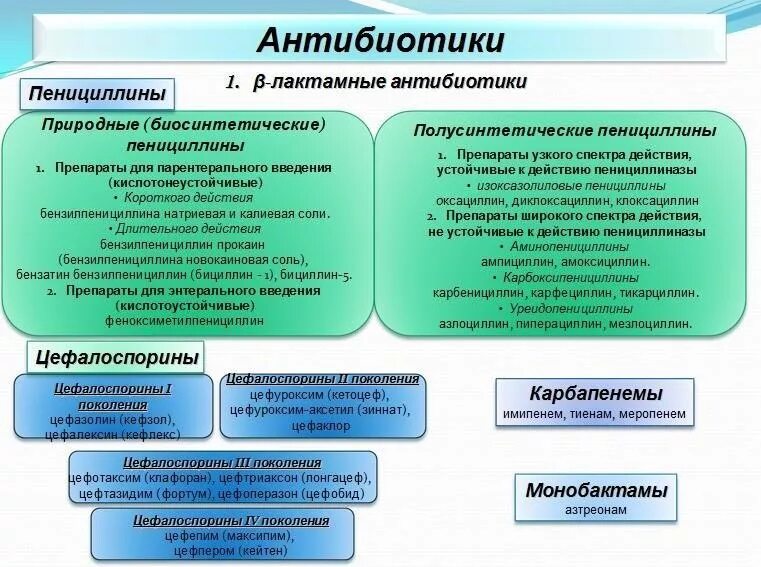 Механизм пенициллинов