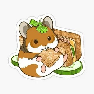 Хомяк комба 6 июля
