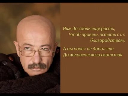 Автор расти