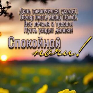 Доброй ночи утра и дня