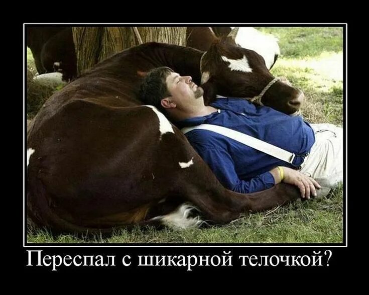 Что значит лежачего не бьют