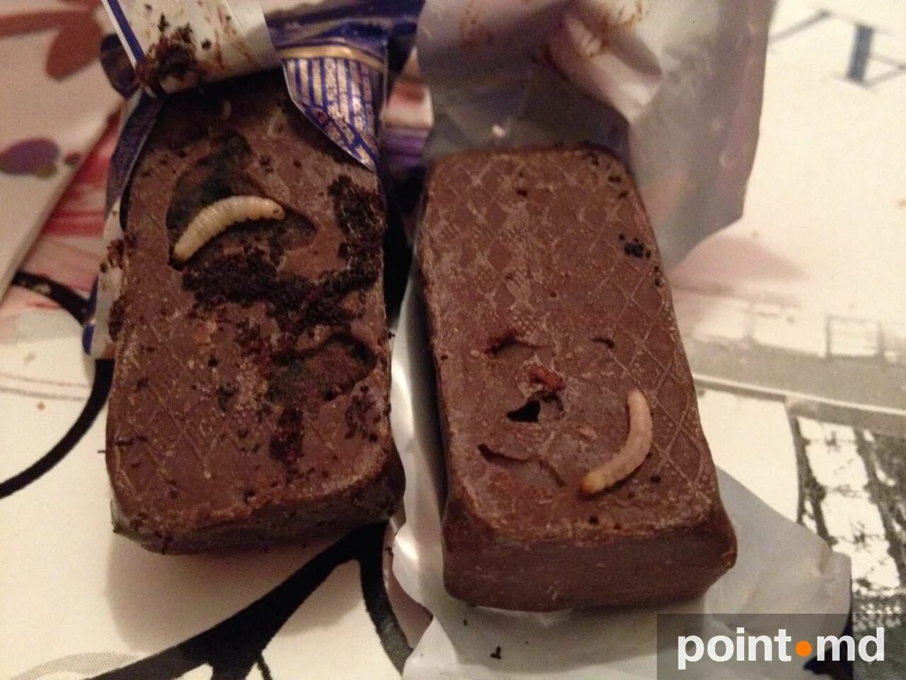 червяки в шоколадных конфетах. червяки в шоколадных конфетах. испорченный шоколад. черви в шоколадных конфетах. черви в шоколадных конфетах.