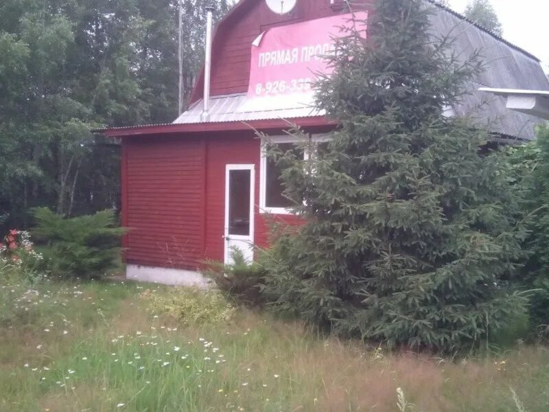 Река востец снт ильинское. Дмитровский г. Домодедово, ильинское, снт ильинка 91,. Дача снт ильинское. Снт ильинское.