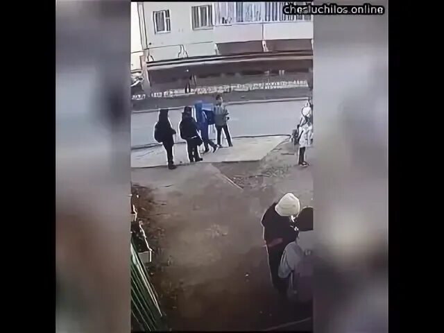 Сын остановил время. В Израиле арестовали попугая ругался матом фото и видео.