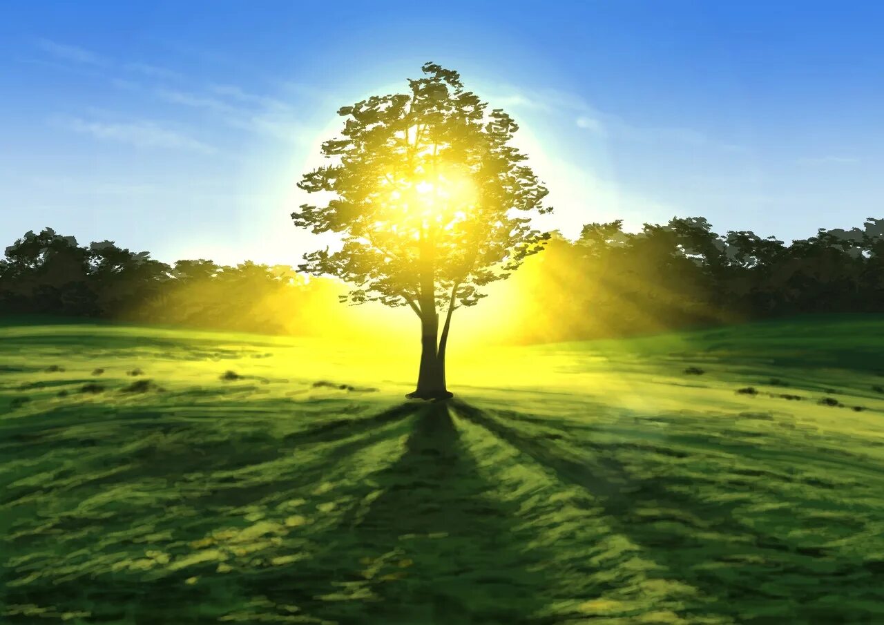 Sun light 1. Sun light 1