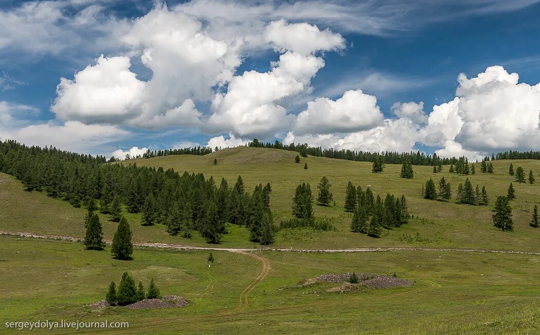 Пазырыкские Курганы горный Алтай. Урочище Пазырык Алтай. Курганов урочища Пазырык Улаганского. Балыктуюль горный Алтай.