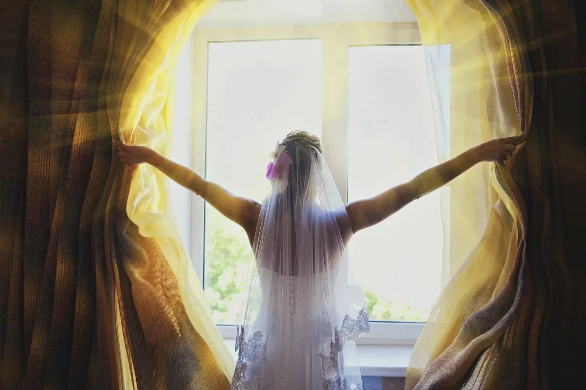 цветы на окне. окна благодать. благодать фотоклипарт. окно зимой. окна благодать.