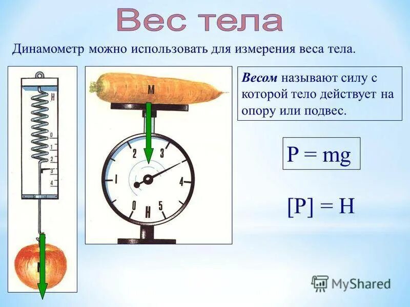 Динамометр измеряет вес. Динамометр измерение сил динамометром 7 класс. Динамометр вес тела с грузами показания. Что измеряет динамометр силу или вес. Формула определения веса тела