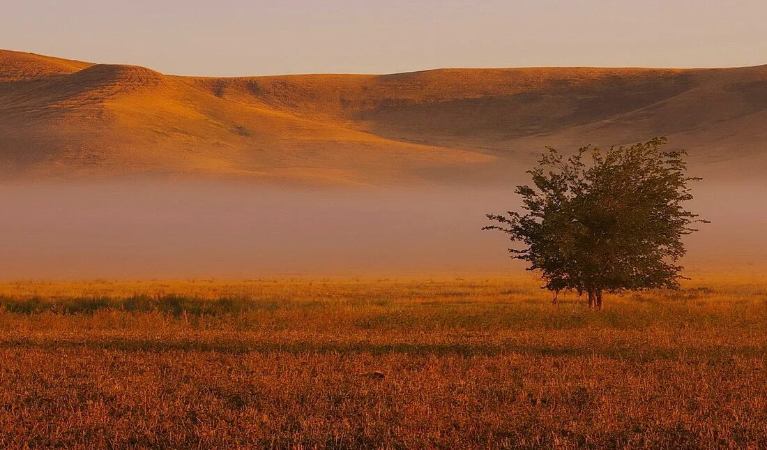 Степь через это. Орск степи. бельагачская степь. ксерофильные степи. абайская степь.