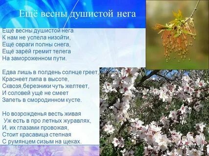 Еще весны душистой анализ