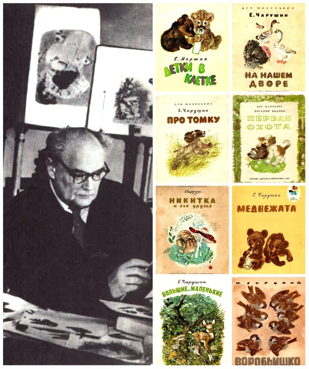Е чарушин портрет. Портрет чарушина. Портрет художника е. Е чарушин портрет. Иванович чарушин.