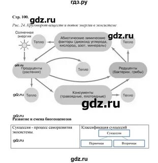 Биология 9 бодрова