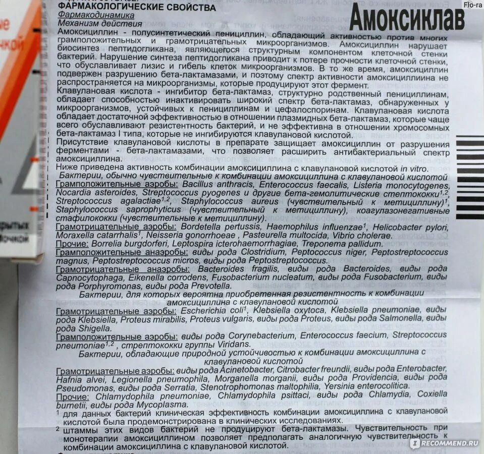 Амоксиклав чувствительность бактерий. Стрептококк амоксиклав. Амоксиклав противопоказания. Амоксиклав с клавулановой кислотой для детей. Можно вместе принимать амоксиклав и