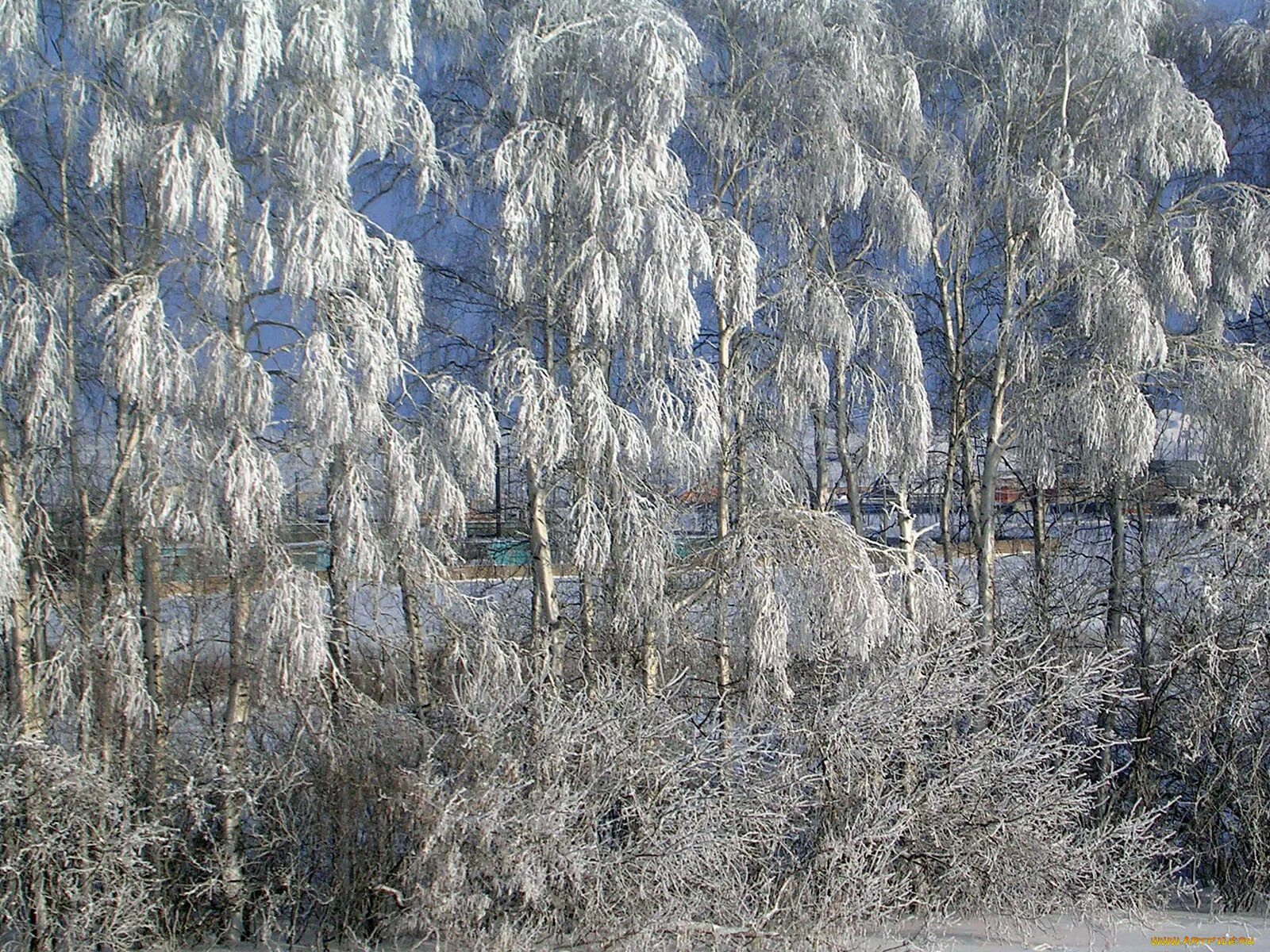 Вспомним зимой лето