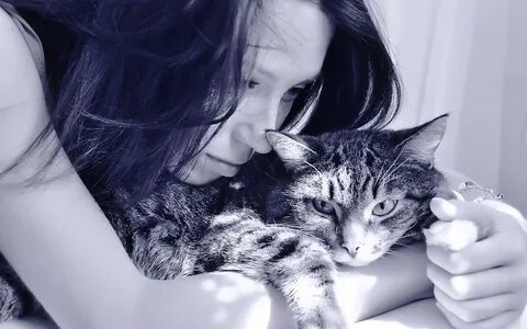 Песня девочки девченки мы для них котенки