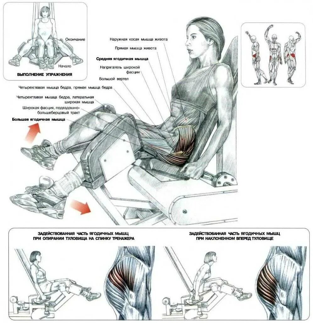 Изолирующие упражнения на ягодицы. Разведение и сведение ног в тренажере мышцы. Тренажёр для сведения и разведения ног сидя. Тренажер разведение и сведение ног чертежи. Разведение ног в тренажере на ягодицы.