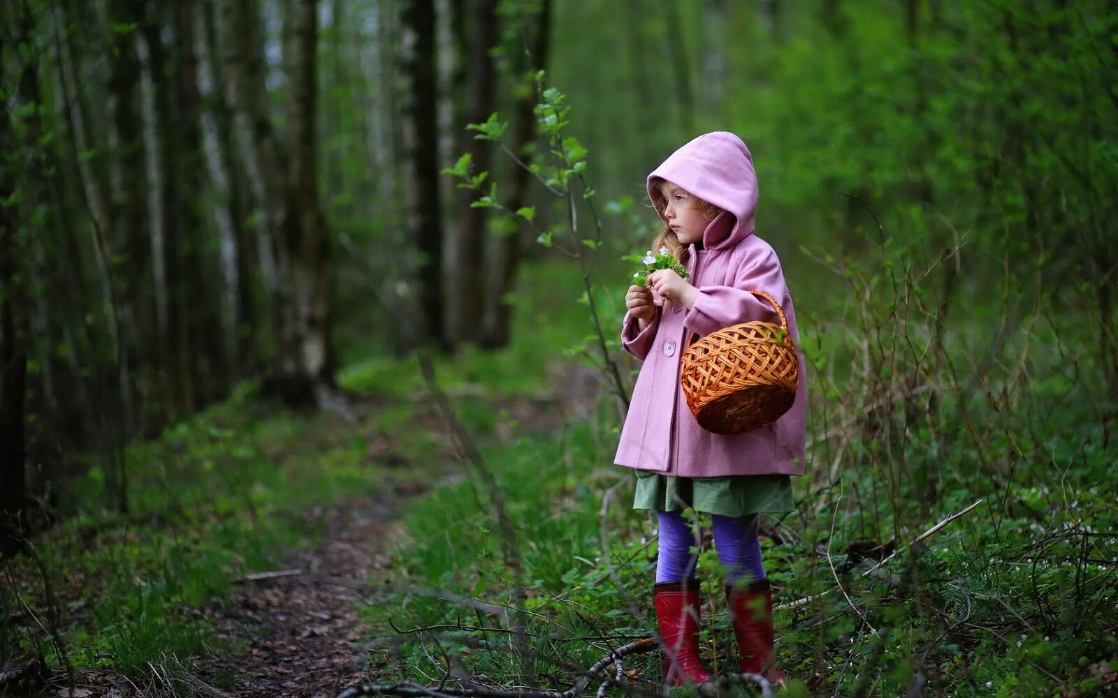 Сходить в лес. Девочка в лесу. Девочка корзинка лес. Малыши. В лесу. Девочка гуляет в лесу.