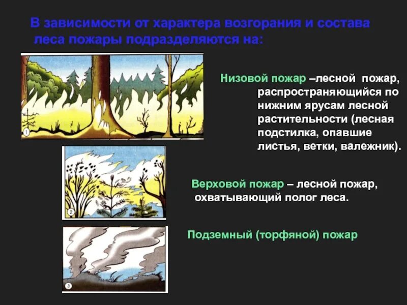 Верховые низовые подземные. Лесные и торфяные пожары и их характеристика. Доклад на тему Лесные и торфяные пожары. Лесной пожар охватывающий полог. Лесные и торфяные пожары и их характеристика 7 класс.